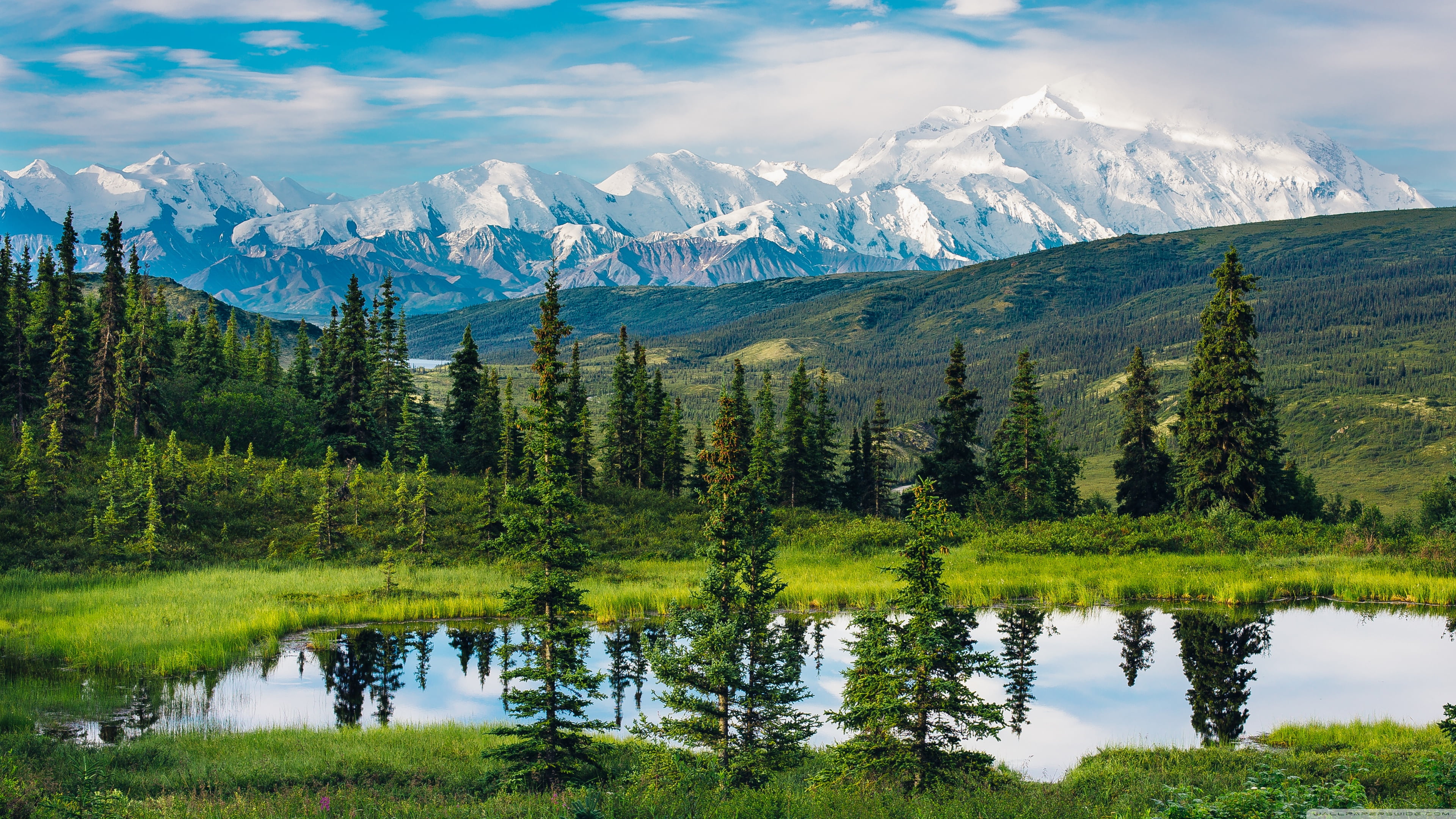 an image of a green field in alaska